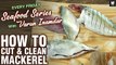 Basic Cooking - How To Cut & Clean Mackerel - Tips & Tricks To Cut Fish - Seafood Series - Varun