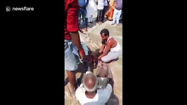 Indian farmer walks 3km with snake wrapped around leg after it bit him