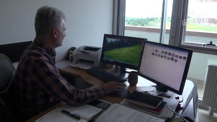 GPS cihazıyla takip edilen karacalar yaban hayatına ışık tutacak - KASTAMONU