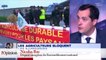 Nicolas Dupont-Aignan – Blocage des raffineries: «Nicolas Hulot devient lâche»