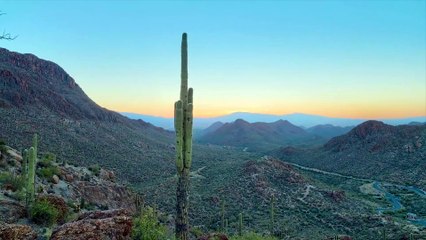 Un nuevo material obtiene agua del aire en el desierto