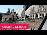 ROYAL CHATEAU OF BLOIS - FRANCE, BLOIS