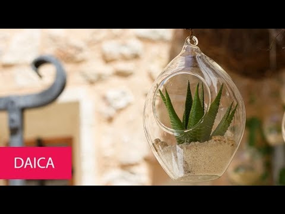 DAICA - SPAIN, MALLORCA