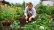 Jamie Oliver - Jamie at Home S02E11 - Strawberries