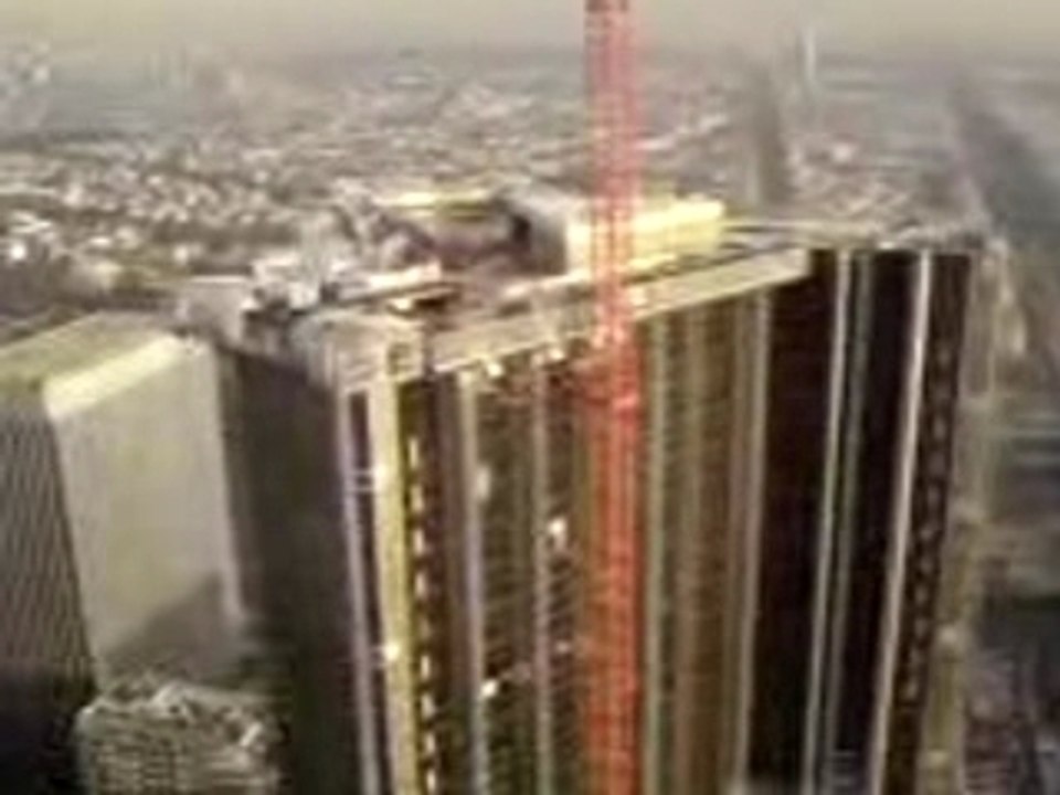 UNE GRUE SUR UNE TOUR IGH DE LA DEFENSE (1)