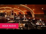 AQUA NUEVA - UNITED KINGDOM, LONDON