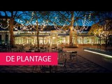 DE PLANTAGE - NETHERLANDS, AMSTERDAM