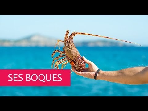 SES BOQUES - SPAIN, BALEARIC ISLANDS