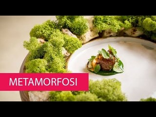 METAMORFOSI - ITALY, ROME