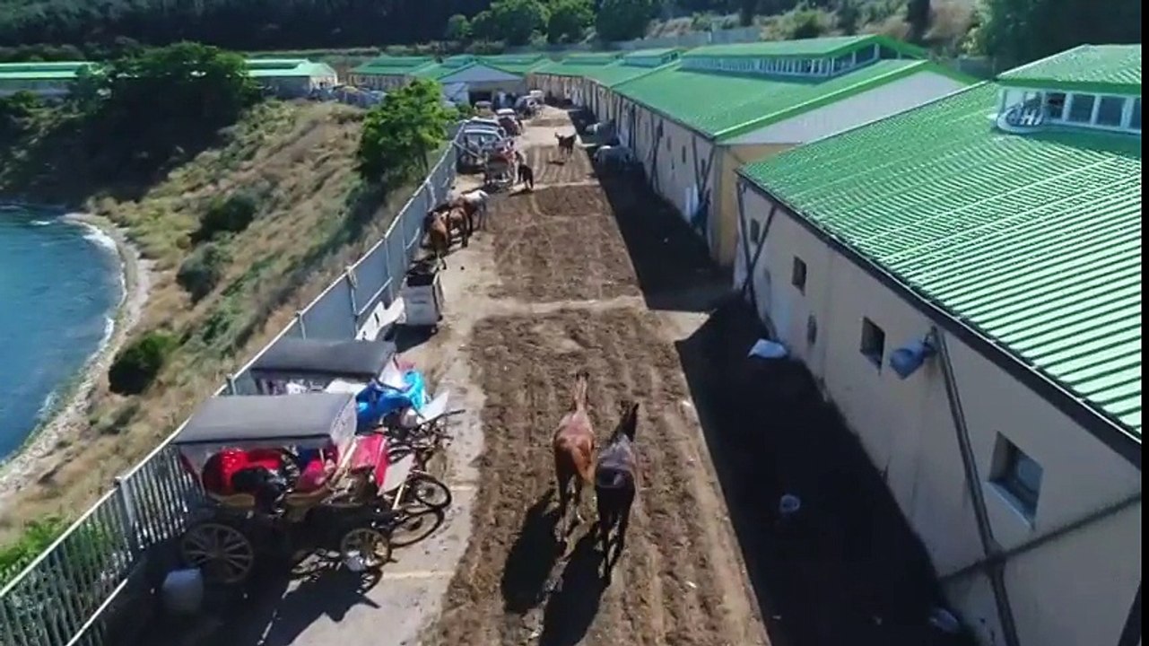 Adalar’daki Fayton Park Havadan Görüntülendi