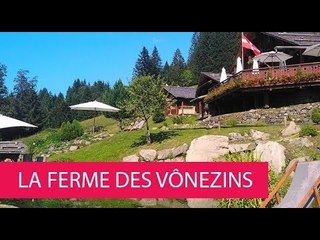 LA FERME DES VÔNEZINS - FRANCE, THÔNES