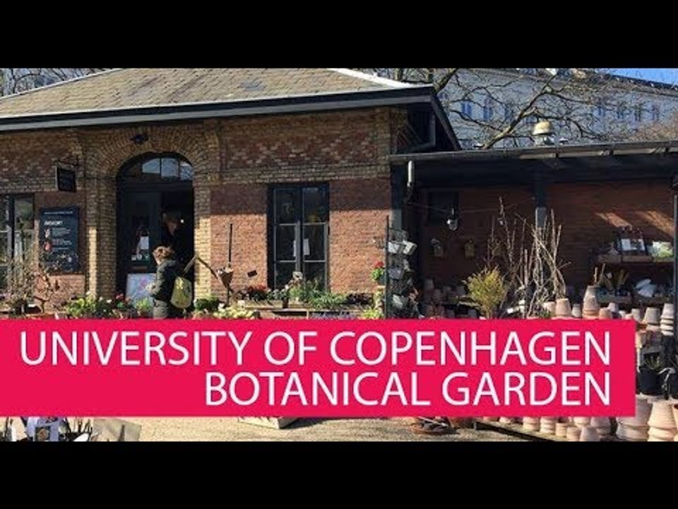 UNIVERSITY OF COPENHAGEN BOTANICAL GARDEN - DENMARK, KØBENHAVN