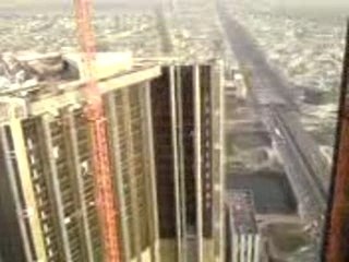 UNE GRUE SUR UNE TOUR IGH DE LA DEFENSE (2)