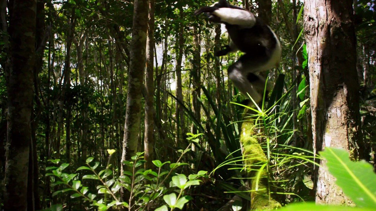 BBC Planet Earth II , Islands @COSMICSCIHD OFFICIAL