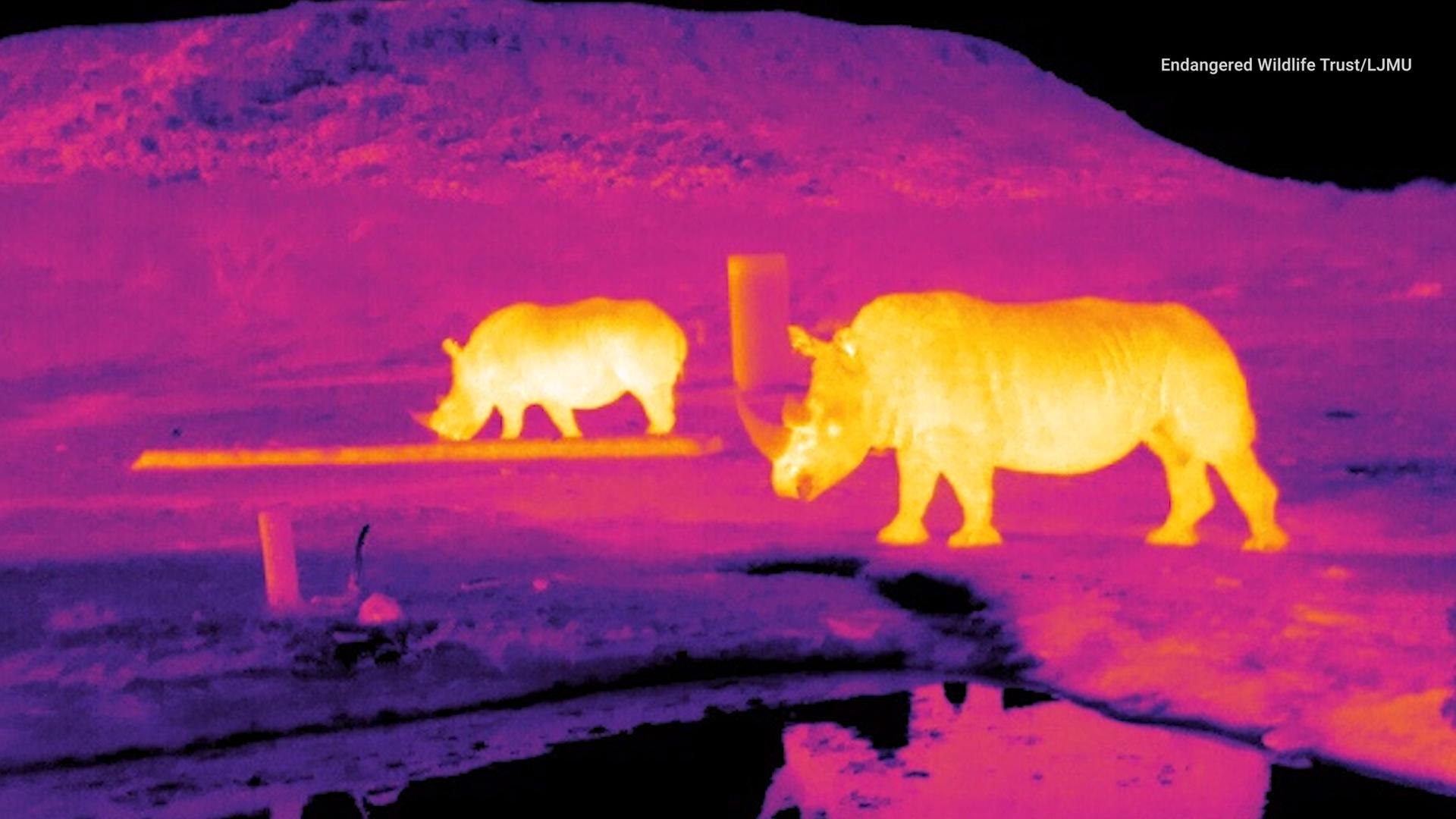 ⁣Galaxy-Hunting Tech Used to Spot Poachers, Save Endangered Animals
