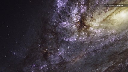 Hubble’s Ultraviolet Pics of Nearby Galaxies Will Give You an Eyegasm