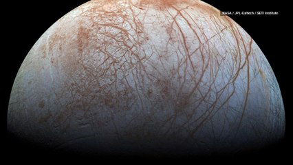 Water Plume on Jupiter’s Moon Points to Potential for Alien Life