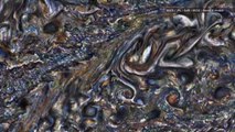 Hypnotic New Video Shows Jupiter's Swirling Clouds in Action