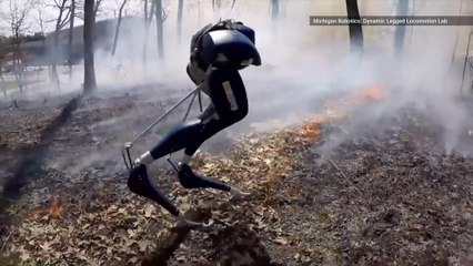 Watch Robot Casually Strut its Stuff Through Fire