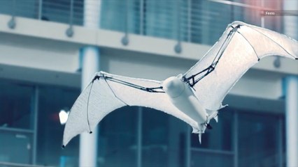 This Freaky Bat-Bot Flies, Hangs Upside Down Like the Real Thing