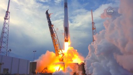 Can Babies Be Made in Space? NASA Sent Sperm to ISS to Find Out