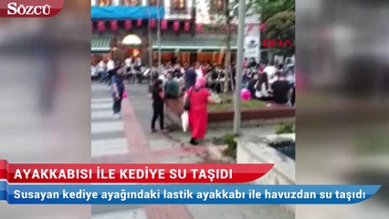 Ayakkabısı ile kediye su taşıdı