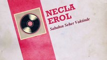 Necla Erol - Sabahın Seher Vaktinde (45'lik)