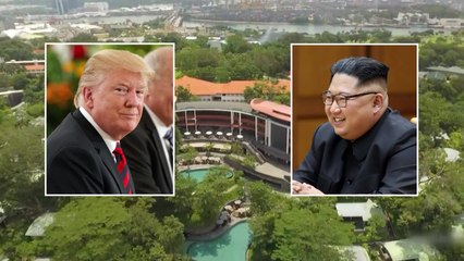 '세기의 담판' 초읽기...'빅딜' 전략 올인 / YTN