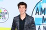 Shawn Mendes wants TV career