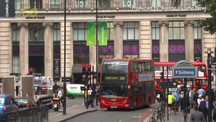 Spots to Add Some Pop Culture to Your Summer Vacation