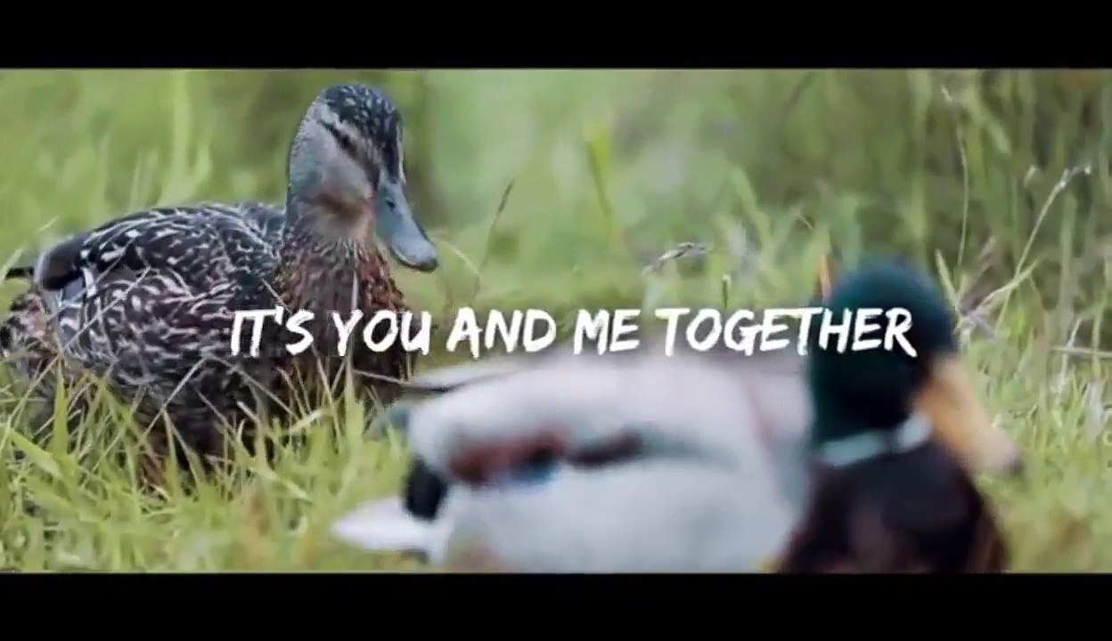 MARC, Caroline Høier - Wont Let You Down ( Lyric Video ) .