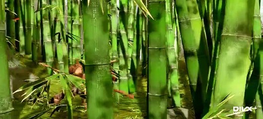 356792639_H264-848x480