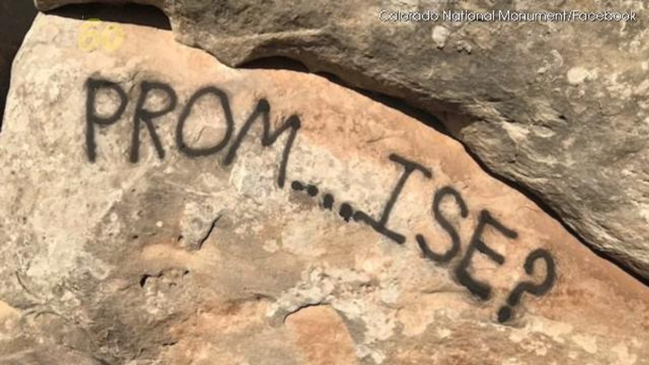 Promposals Should Not Include Vandalism