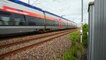 Compilation de train de Fret, TGV, TER et intercité Coradia Liner sur La Rochelle