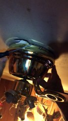 Snake Retrieved From Ceiling Fan