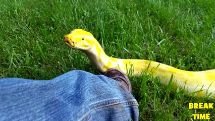 Un serpent ça peut etre ADORABLE, la preuve