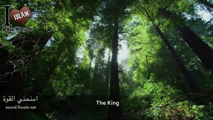 The Beautiful Names Of God (Allah) - Inspiring Video