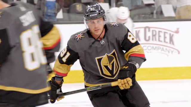 Meet The Vegas Golden Knights