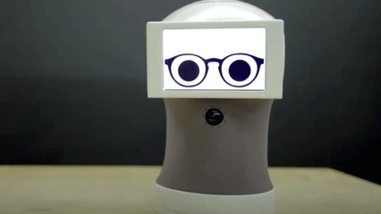 This Robot Assistant Communicates In GIFs