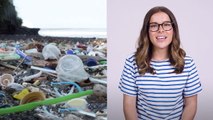 Plastic Pollution is Causing Problems in Our Oceans
