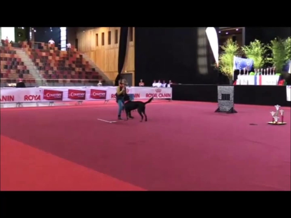 OBR, GPF 2016, Monique et Gus