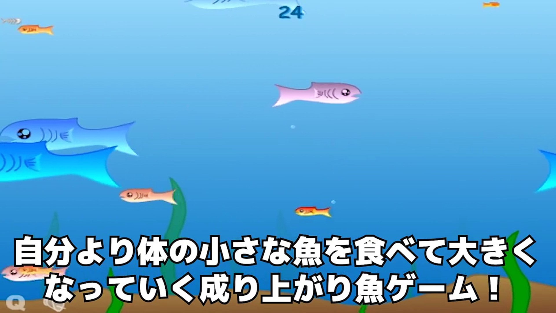 この世の魚を全て食べるとこうなります 動画 Dailymotion