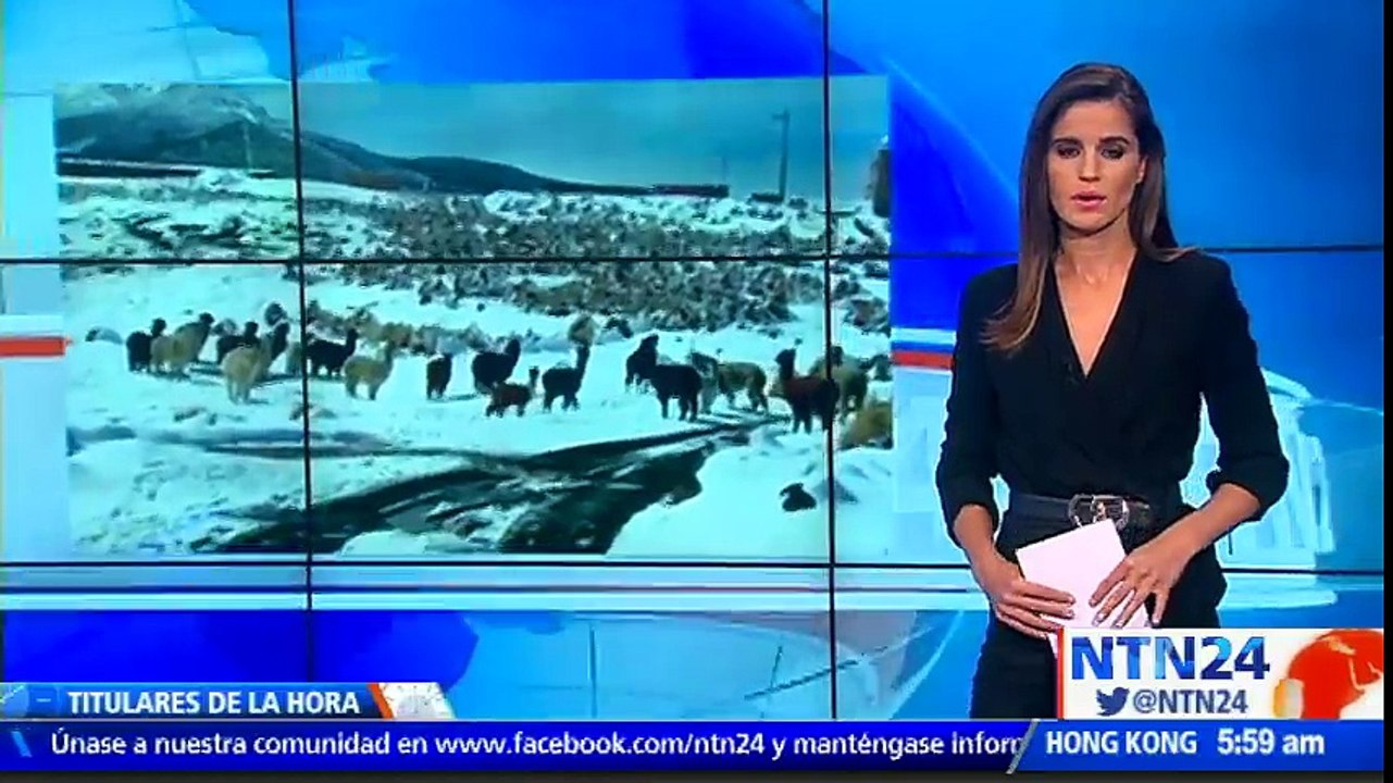 Alpacas y llamas mueren por bajas temperaturas en Bolivia y Perú