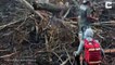 Un orang-outan s’en prend à un bulldozer pour protéger sa forêt