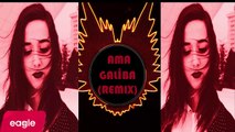 Nigar Muharrem - Ama Galiba ( Sözleri & Alper Eğri Remix & Sagopakajmercover)