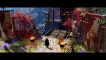 Divinity: Original Sin II - Trailer E3