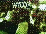 NWO Hollywood Hulk Hogan titantron