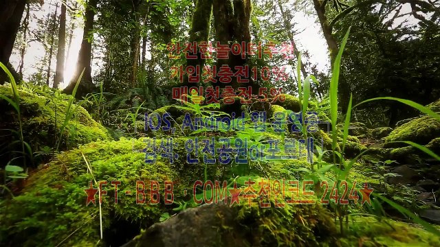 배팅사이트[↙]【【 F T - B B B.C O M ※코드:2424 까똑: 79run 】】[㉭]공식메이저[┚]