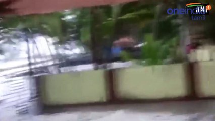 கனமழை, கோவை மாவட்ட பள்ளிகளுக்கு விடுமுறை..வீடியோ