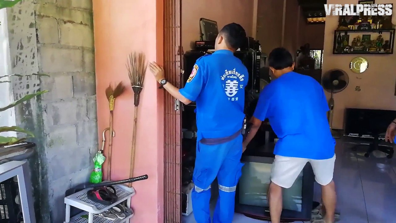 Cat Stuck Between Walls Rescued